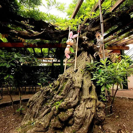 Maggiore - Italia Apartmanhotel